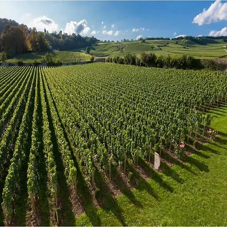 Bed & Breakfast Le Clos Des Belvals Blancs-Coteaux